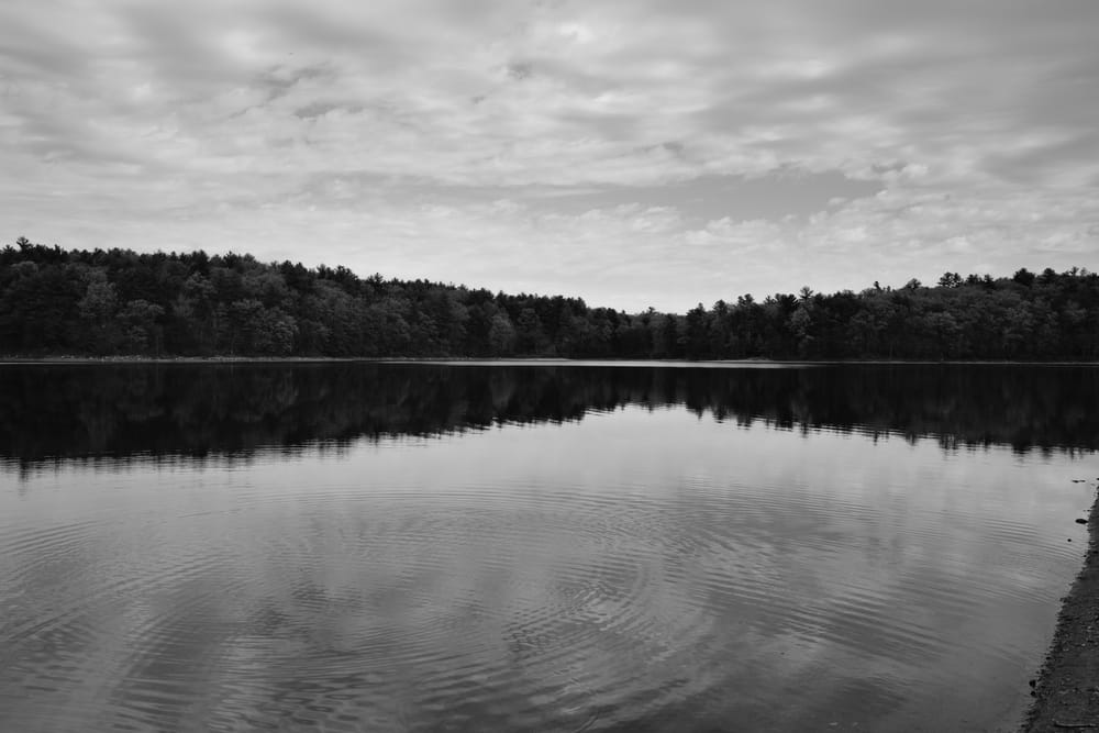 Expanse